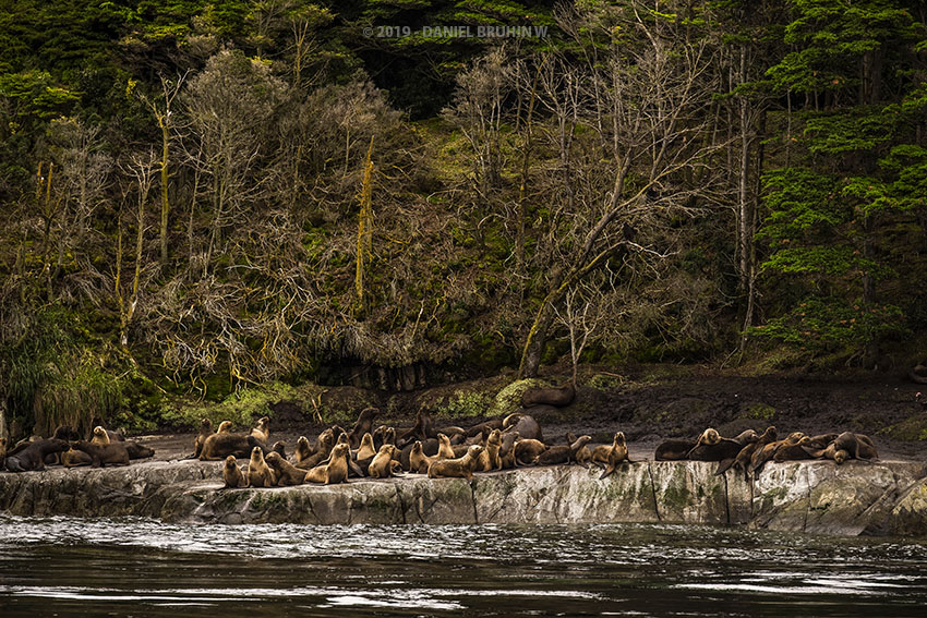 Whales, Penguins and Glaciers Tour - imagen #9