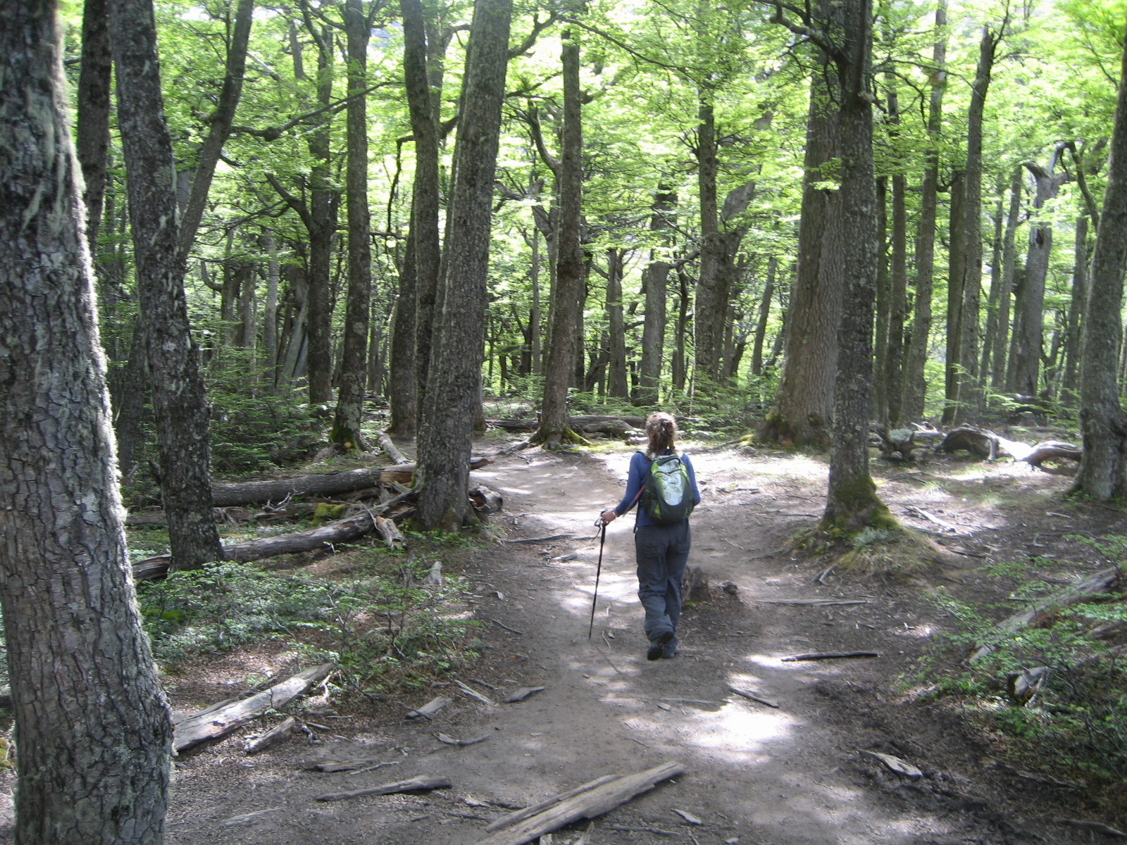 Trekking to Torres del Paine Base - imagen #15