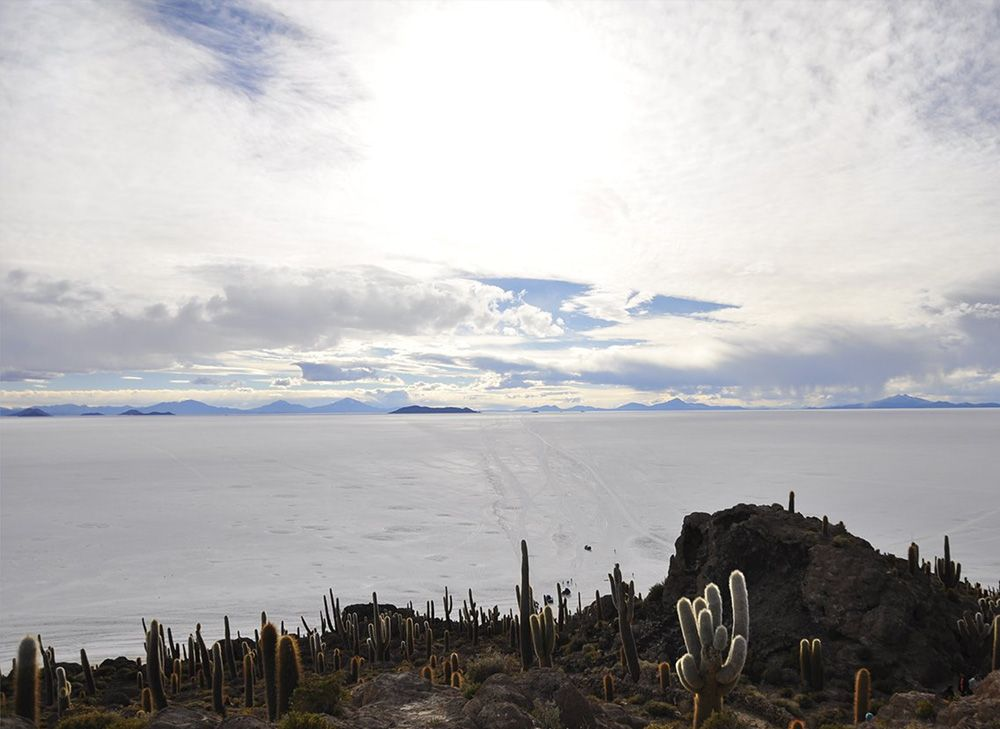 Travel to Uyuni Salt Flat 4D/3N Private - imagen #6
