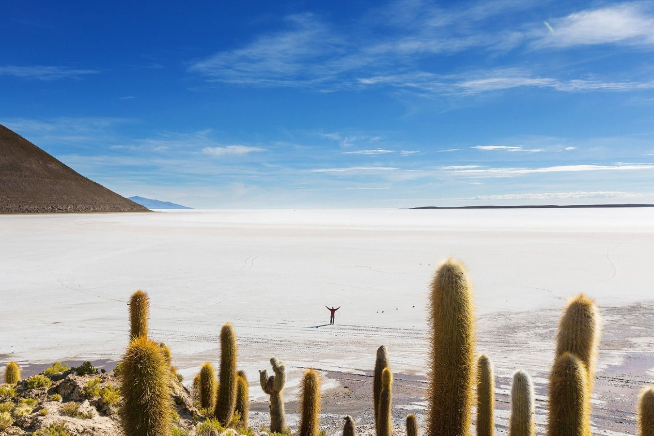 Travel to Uyuni Salt Flat 4D/3N Private - imagen #8