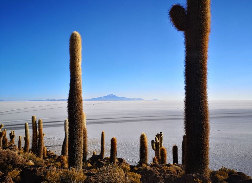 Short Tour Uyuni Salt Flat 3 days / 2 nights Semi-Private