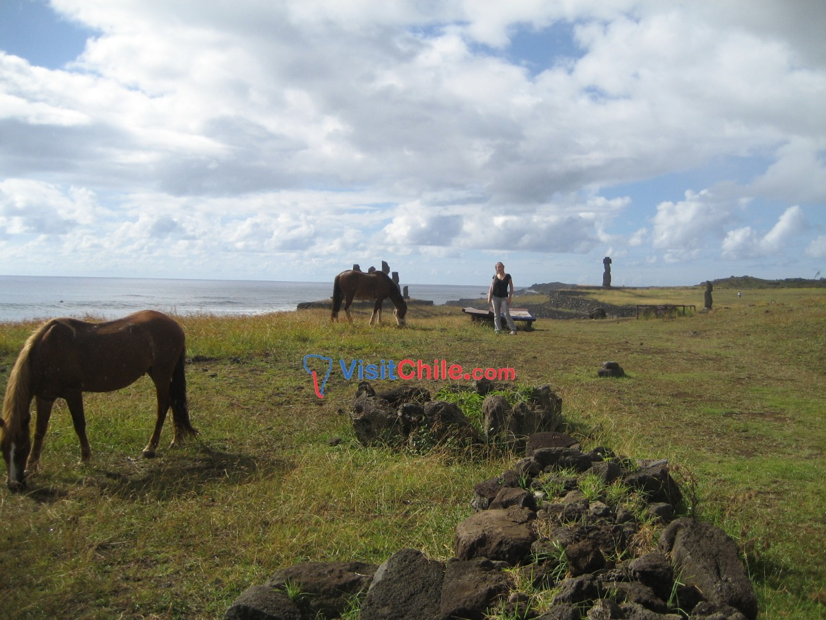 Discover the mystical Easter Island - imagen #4