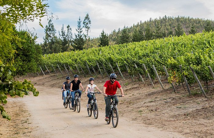 Valle de Casablanca Todo IncluÍdo - imagen #5