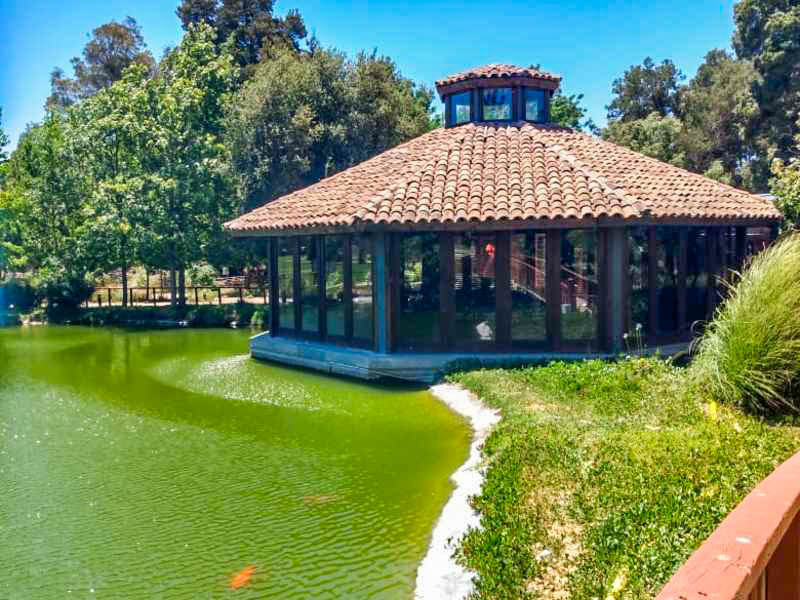 Valle de Casablanca Todo IncluÍdo - imagen #7