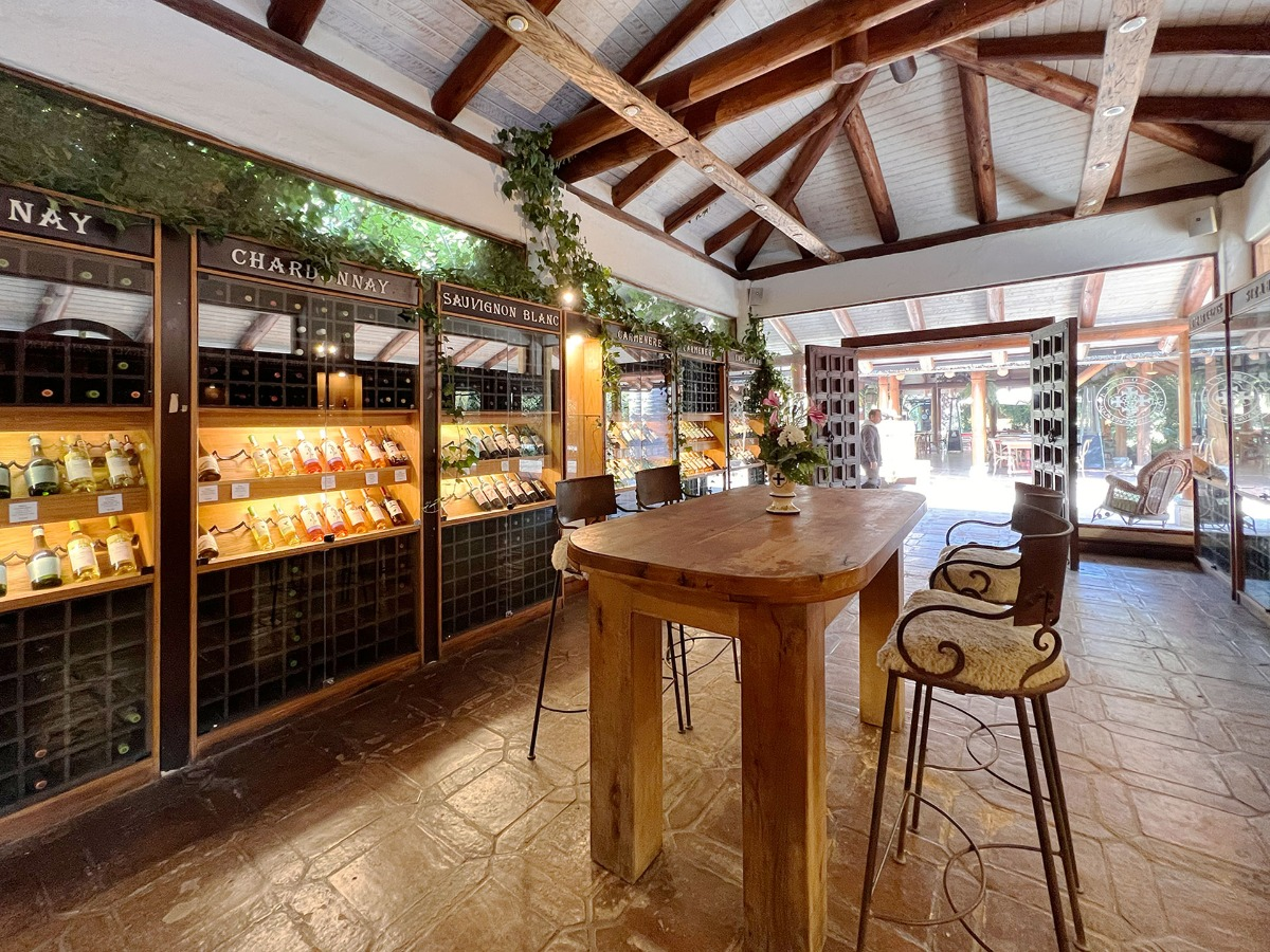 Colchagua Wine Route 2 days / 1 night - imagen #5