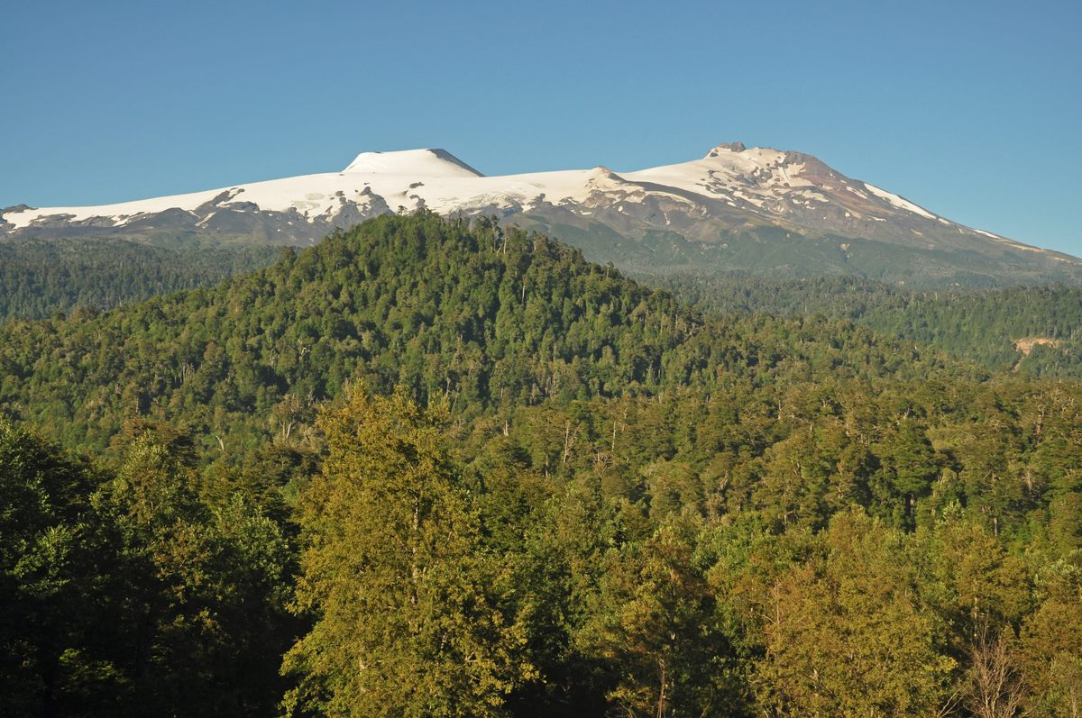 Paquete All Inclusive en Huilo Huilo - imagen #3