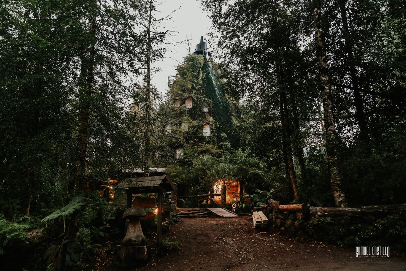 Paquete All Inclusive en Huilo Huilo - imagen #5