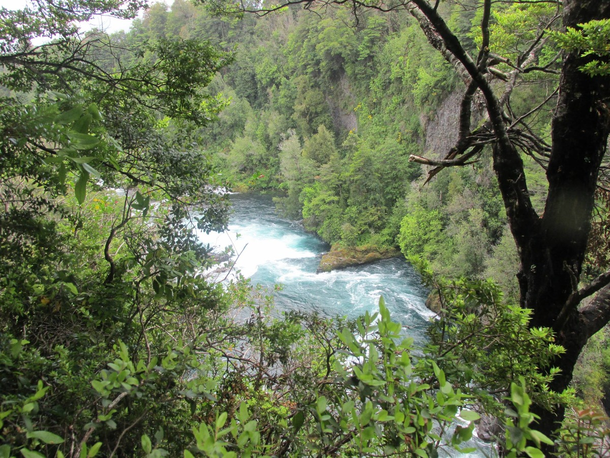 Paquete All Inclusive en Huilo Huilo - imagen #7