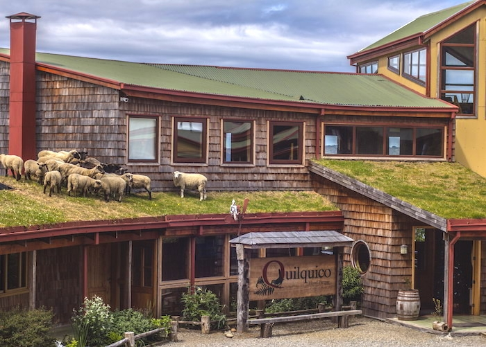 Chiloé, Nature and Culture 4 days / 3 nights - imagen #3