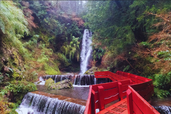 Pucon, Termas Geométricas and Park Huerquehue Tour - imagen #5