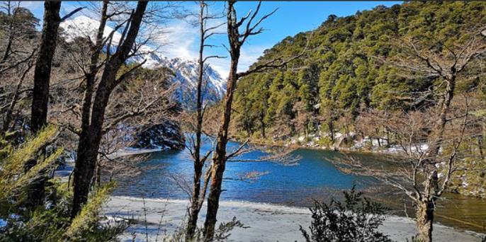 Pucon, Termas Geométricas and Park Huerquehue Tour - imagen #7
