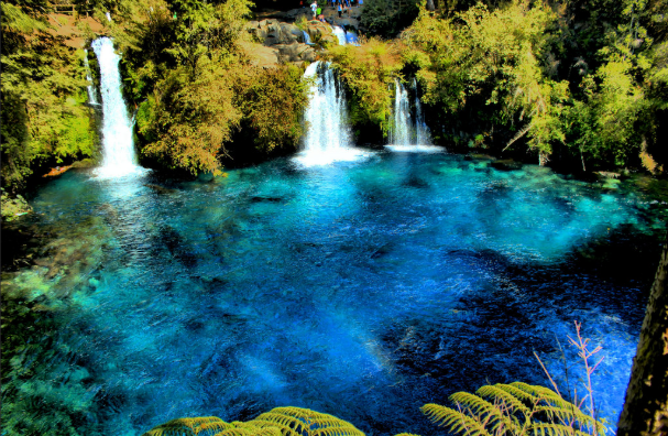 Trip to Pucón, Huerquehue and Termas del Huife - imagen #16