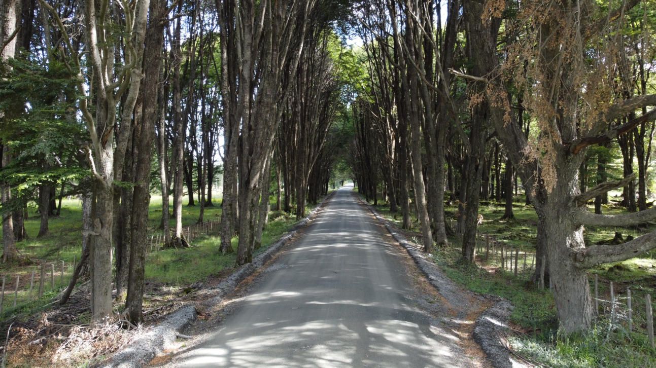 Explore the Carretera Austral – 10 days / 9 nights - imagen #3