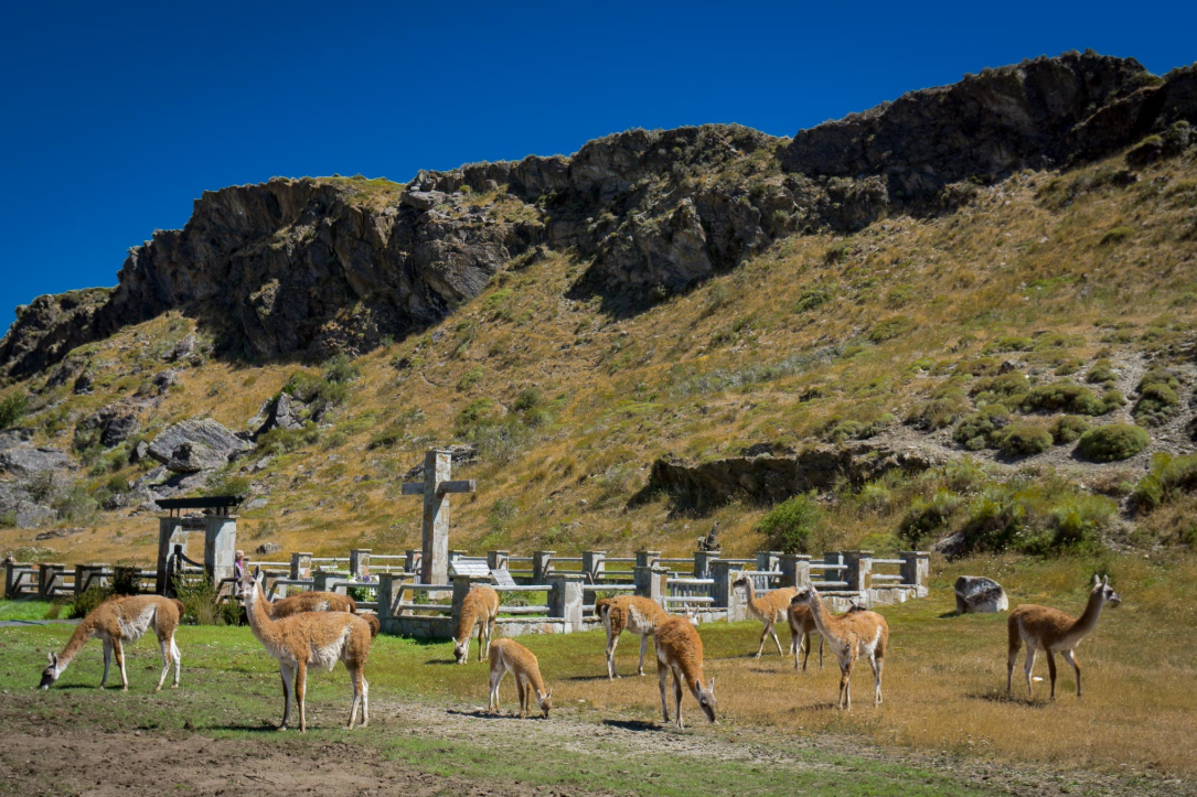 Explore the Carretera Austral – 10 days / 9 nights - imagen #13