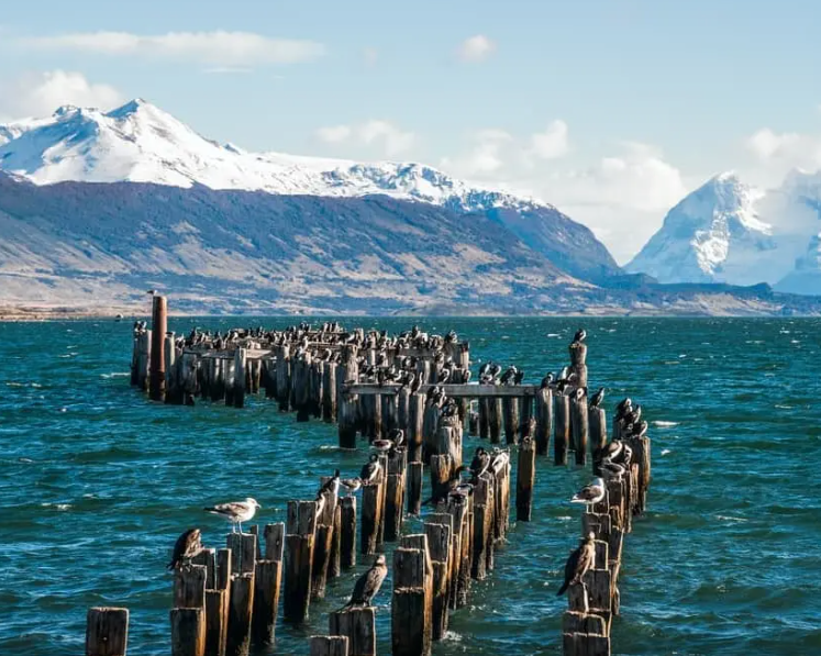 Puerto Natales & Torres del Paine 5 días / 4 noches - imagen #2