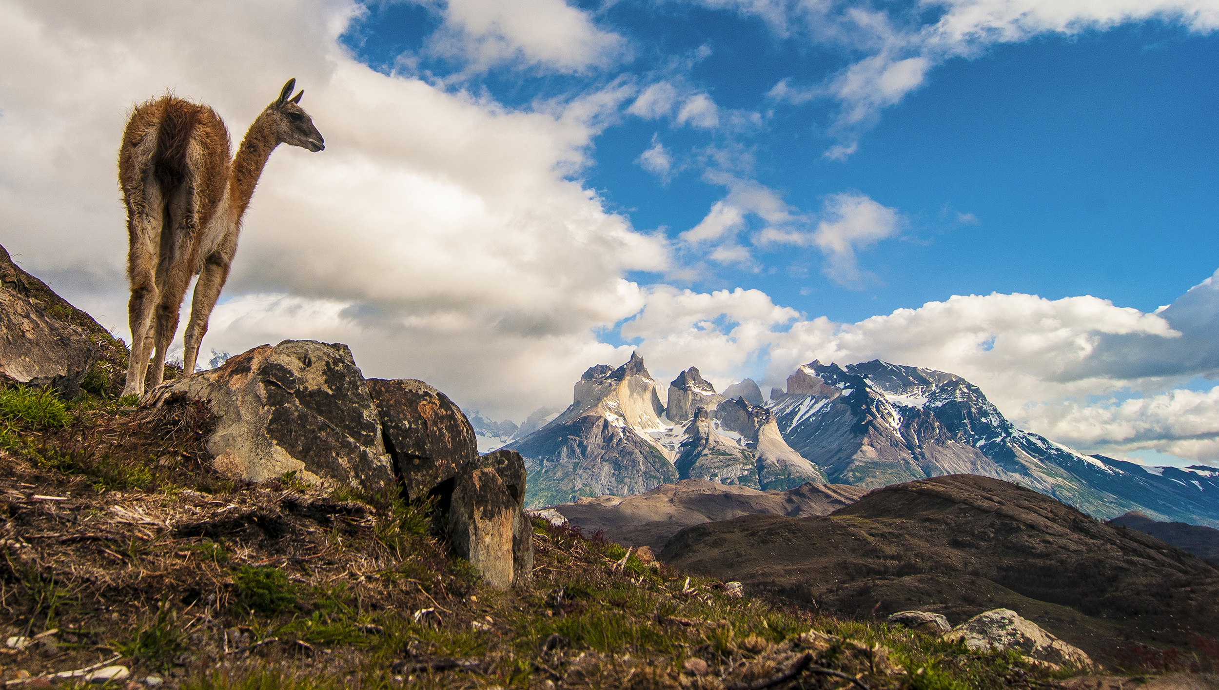 Full Torres del Paine with Grey Glacier Navigation - imagen #7