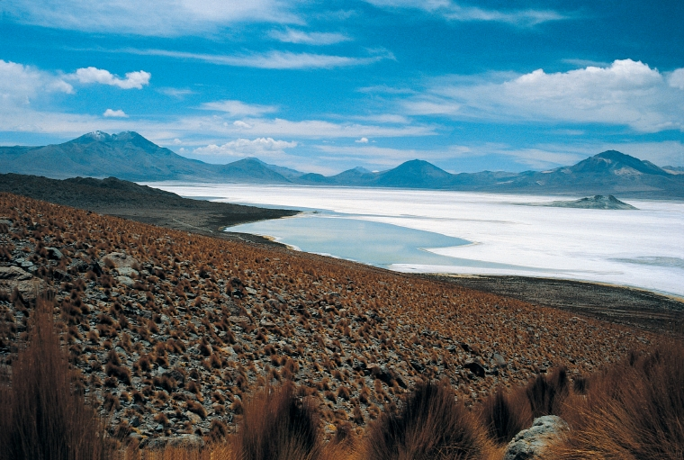 Atacama Salt Flats Tour - imagen #2