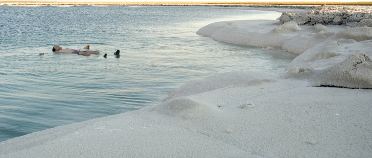 Atacama Salt Flats Tour - imagen #4