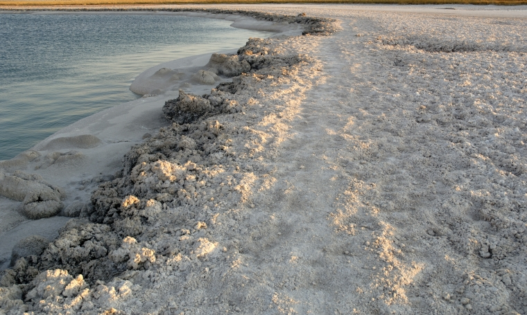 Atacama Salt Flats Tour - imagen #6