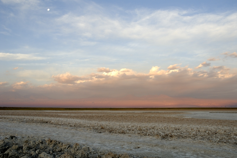 Atacama Salt Flats Tour - imagen #7