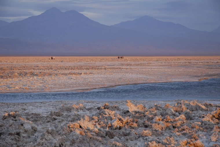 Atacama Salt Flats Tour - imagen #10