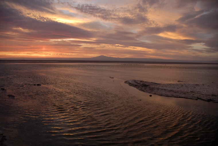 Atacama Salt Flats Tour - imagen #14