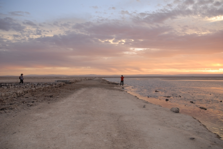 Atacama Salt Flats Tour - imagen #16