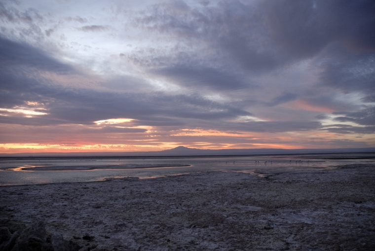Atacama Salt Flats Tour - imagen #17