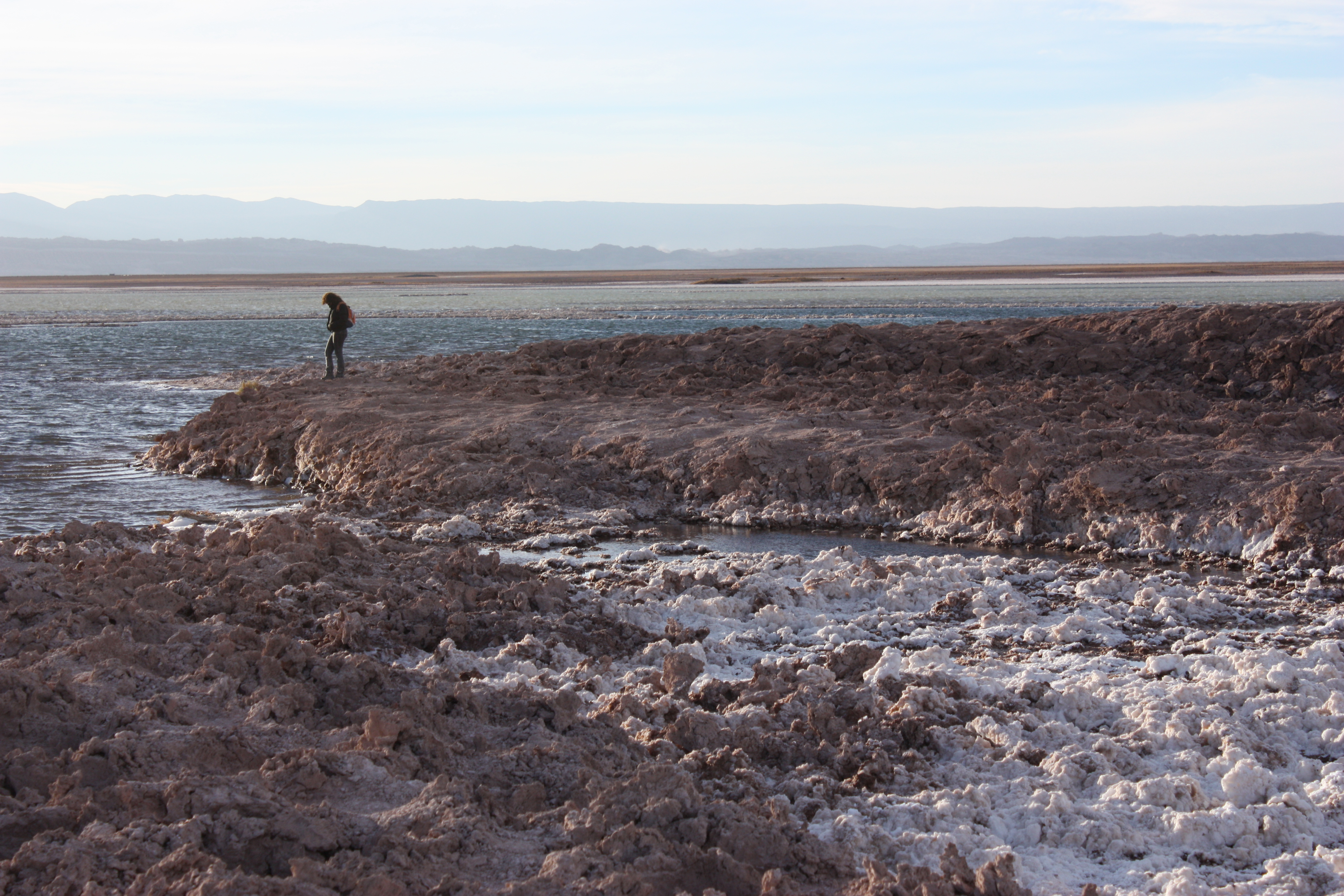 Tour Laguna Céjar y Laguna Tebenquiche - imagen #7