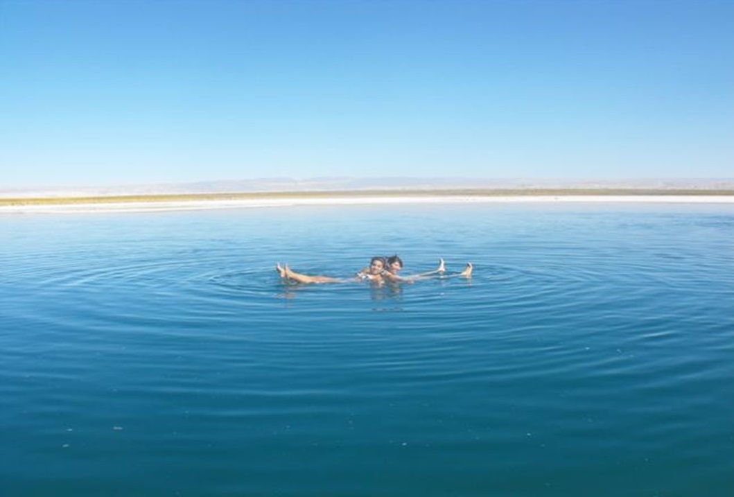Tour Cejar and Tebenquiche Lagoons 