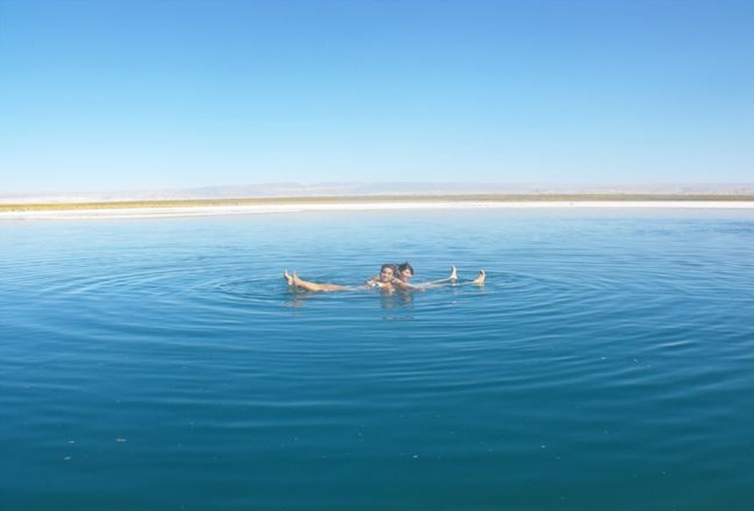 Tour Laguna Céjar y Laguna Tebenquiche - imagen #9