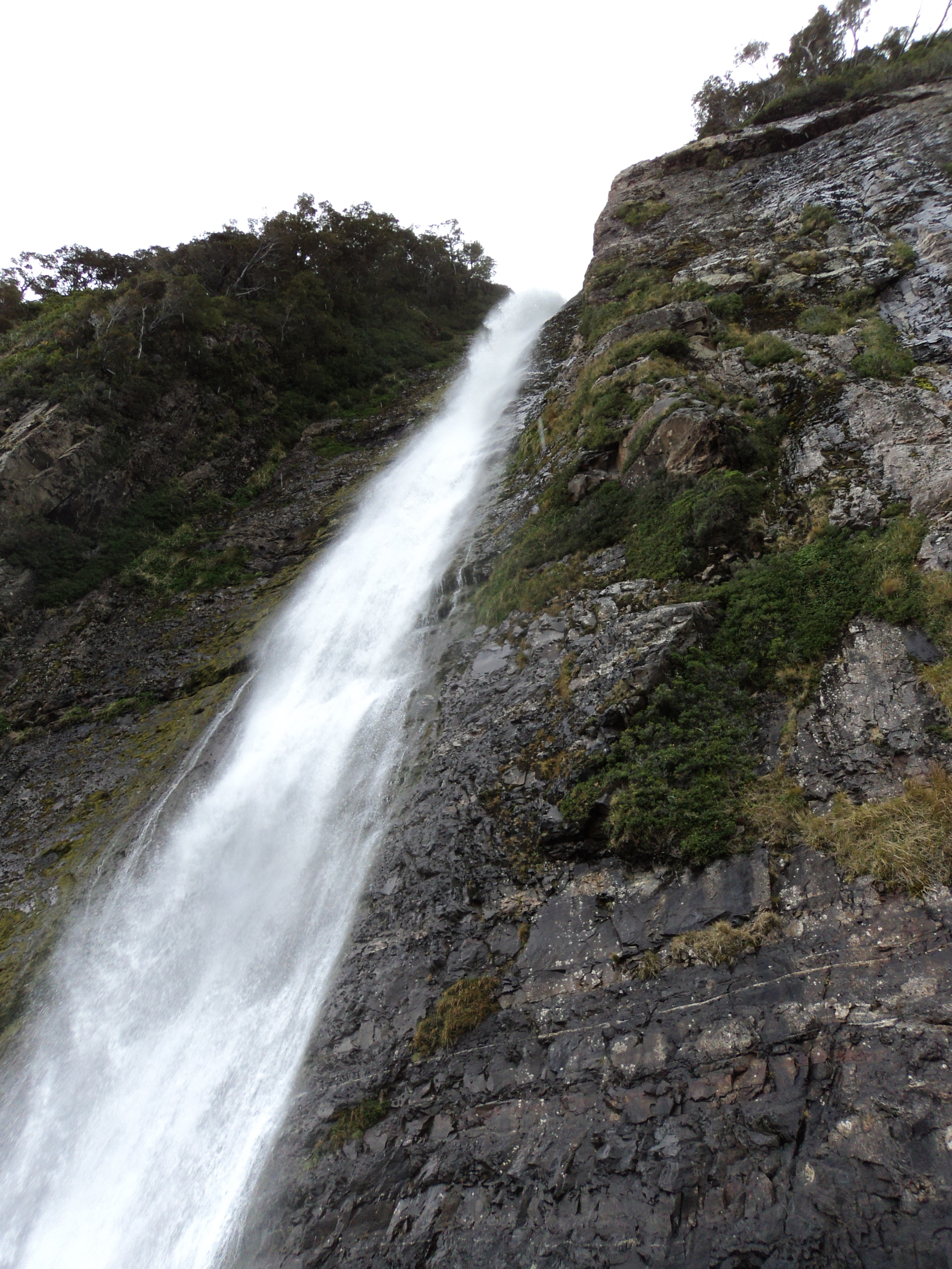 Balmaceda and Serrano Glaciers - imagen #10