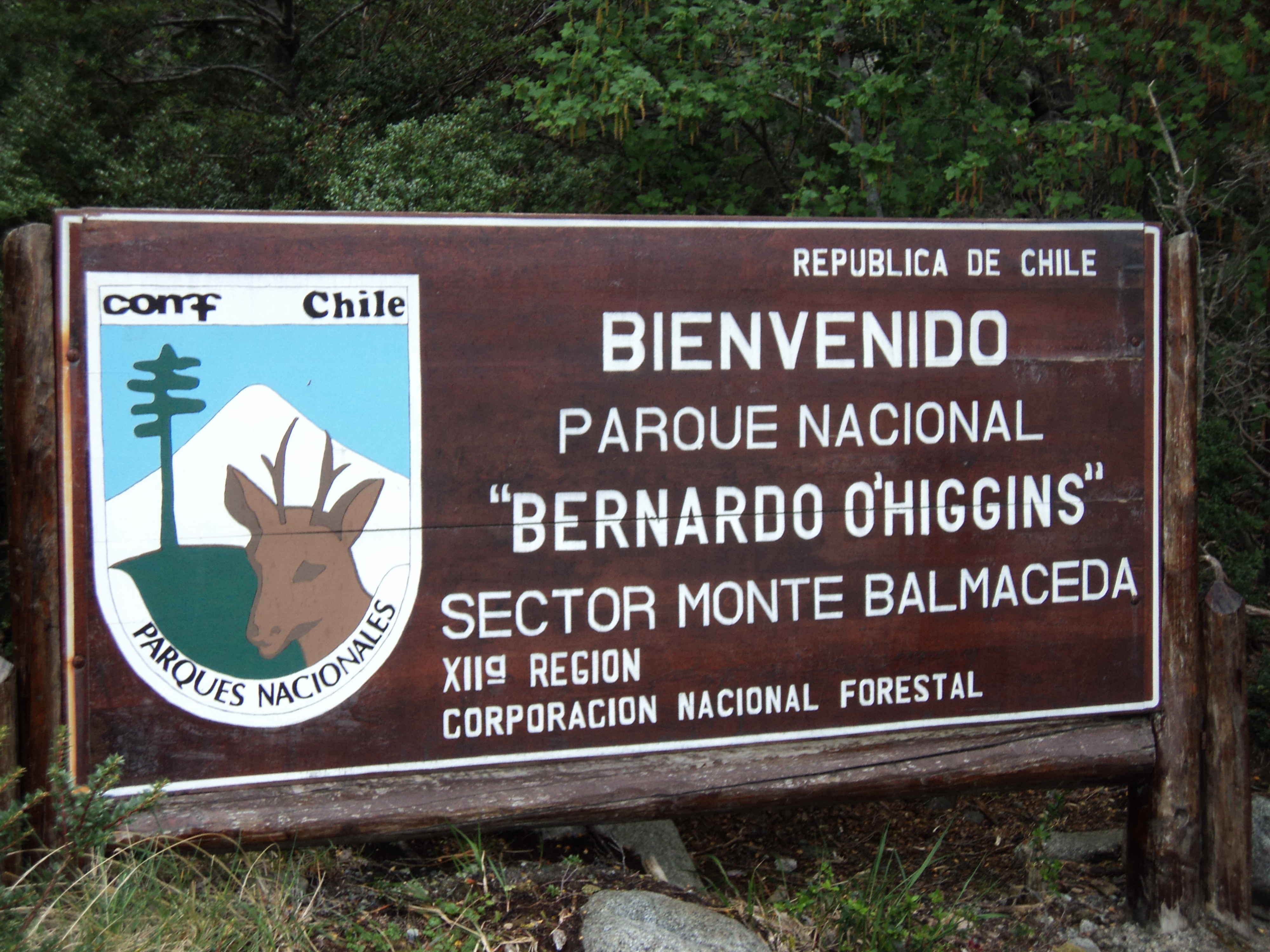 Balmaceda and Serrano Glaciers - imagen #15