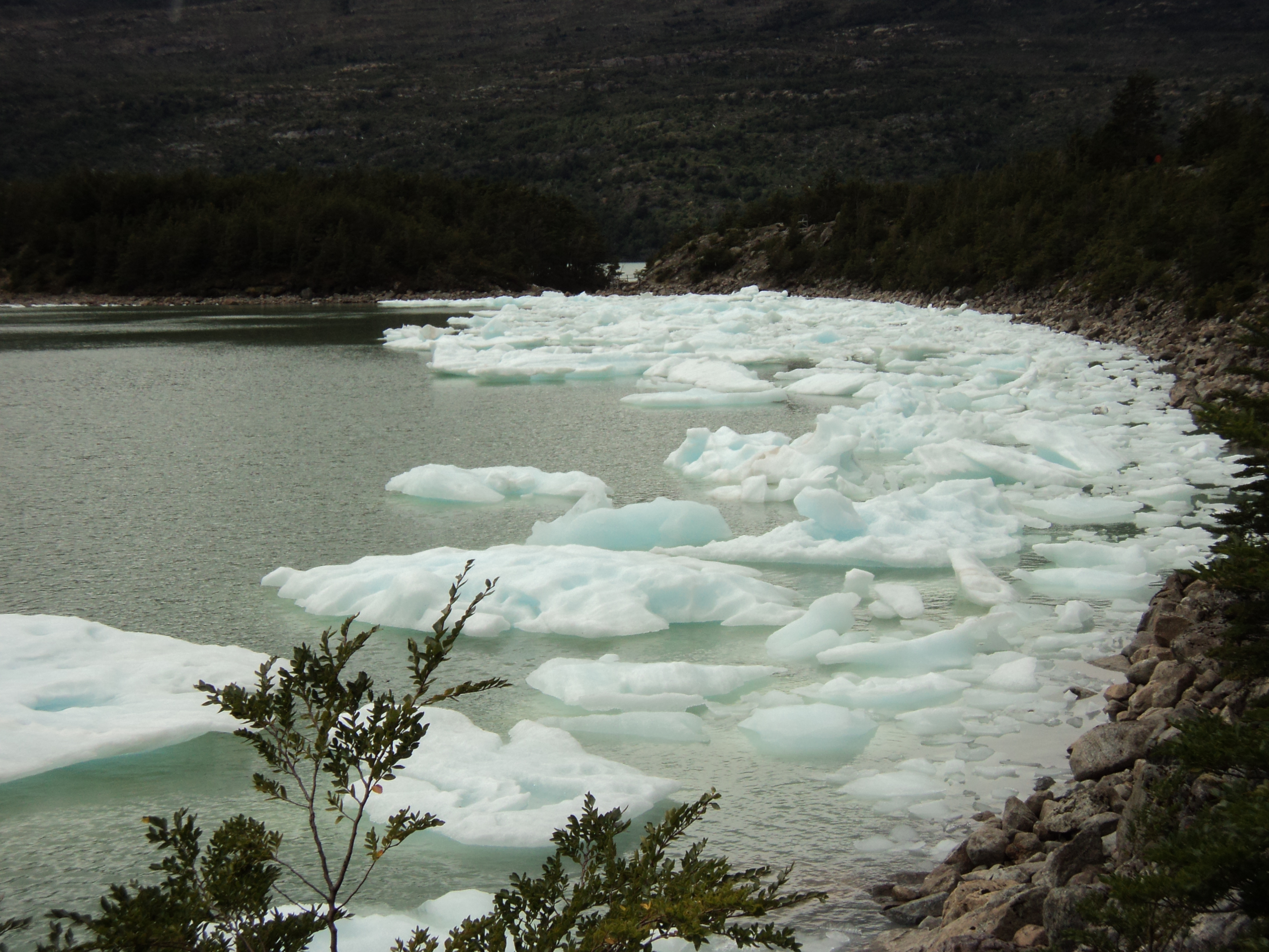 Balmaceda and Serrano Glaciers - imagen #20