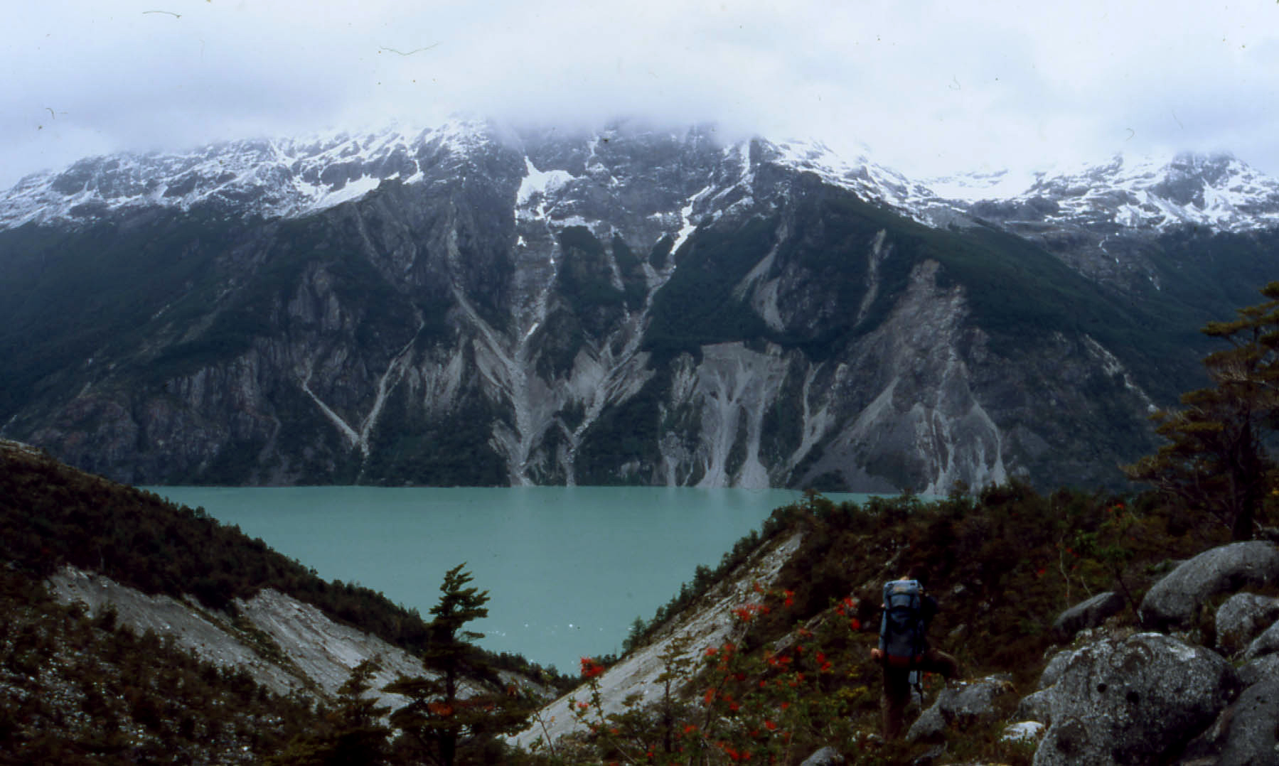 Tour Coyhaique, Caleta Tortel and Baker River - imagen #4