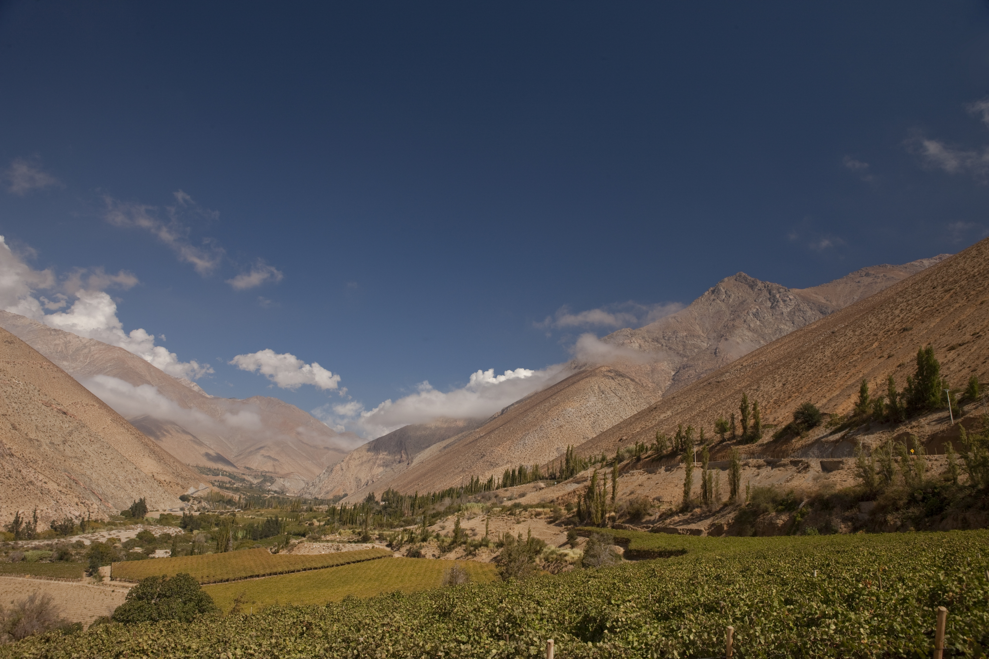 La Serena and Elqui Valley Tour - imagen #6