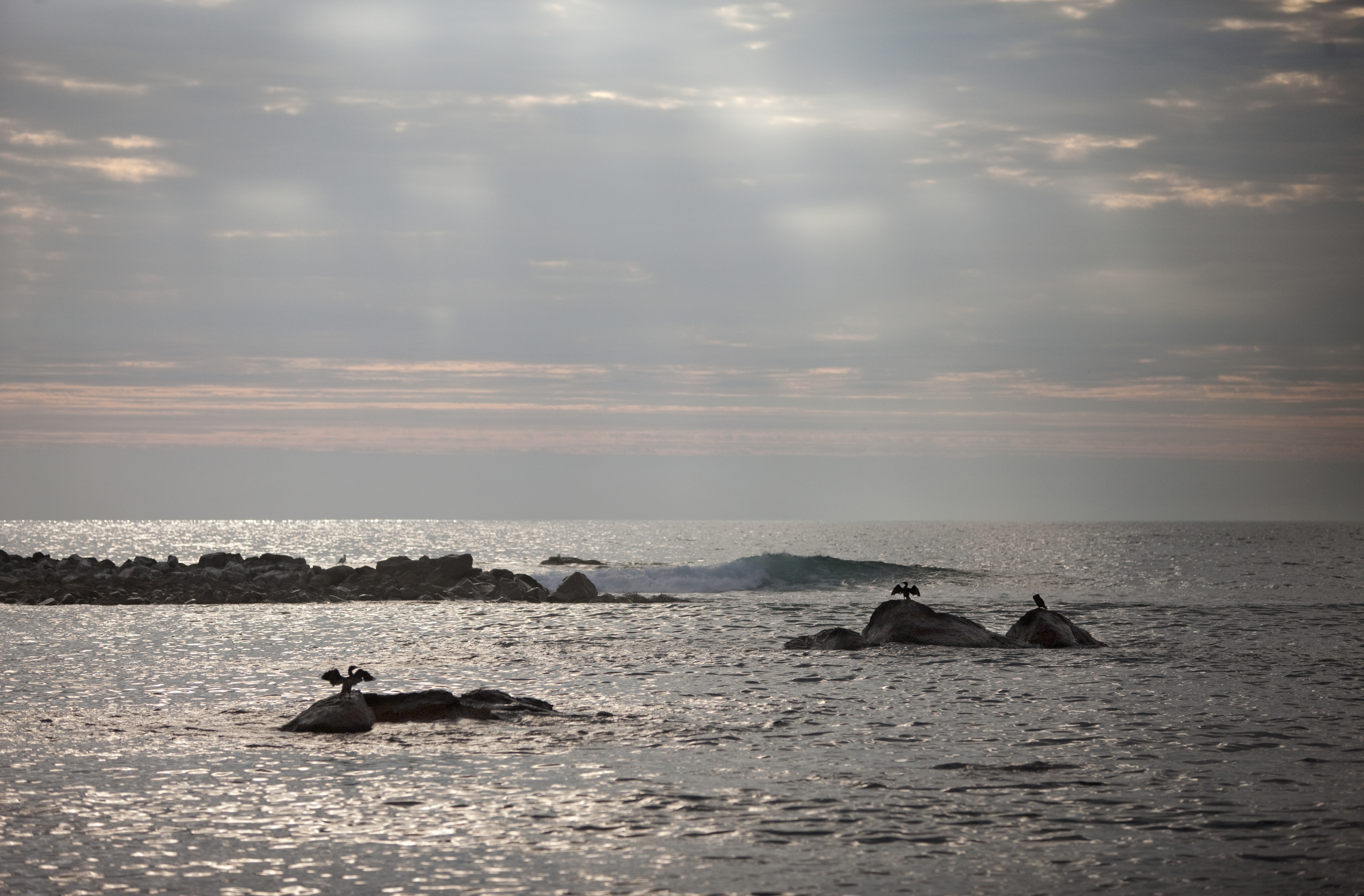 La Serena and Elqui Valley Tour - imagen #7