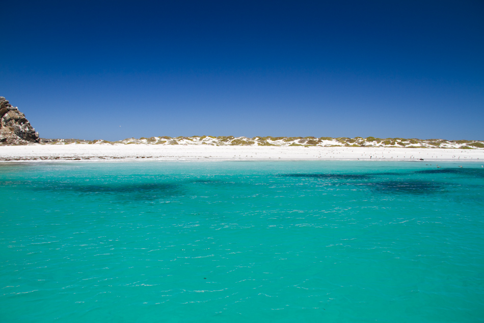 La Serena and Elqui Valley Tour - imagen #8